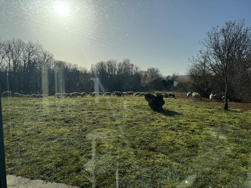 Maison - 113 m² - 3 pièces