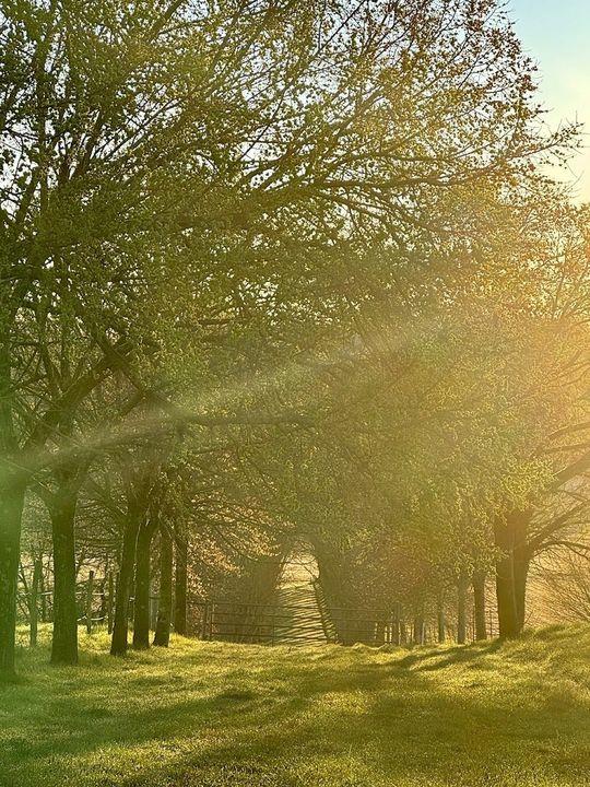 Maison - 365 m² - 8 pièces