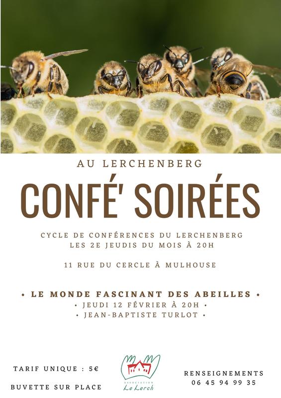 Confé' Soirées - le monde fascinant des abeilles