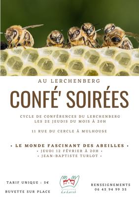 Confé' Soirées - le monde fascinant des abeilles