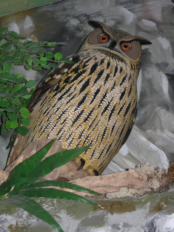 Maison des oiseaux et de la nature