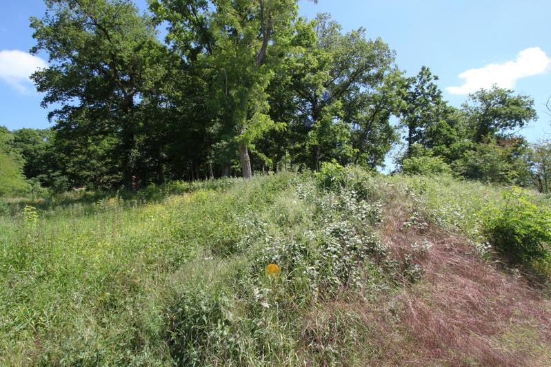 Terrain constructible - 1 146 m²