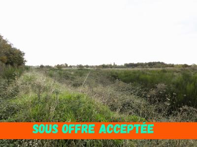 Terrain agricole - 20 600 m²