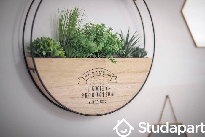 Appartement - 10 m² - 1 pièce