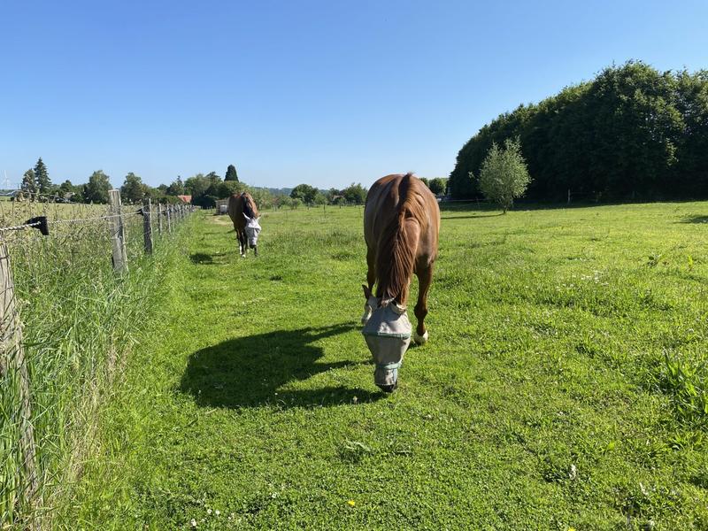 Maison - 400 m² - 16 pièces