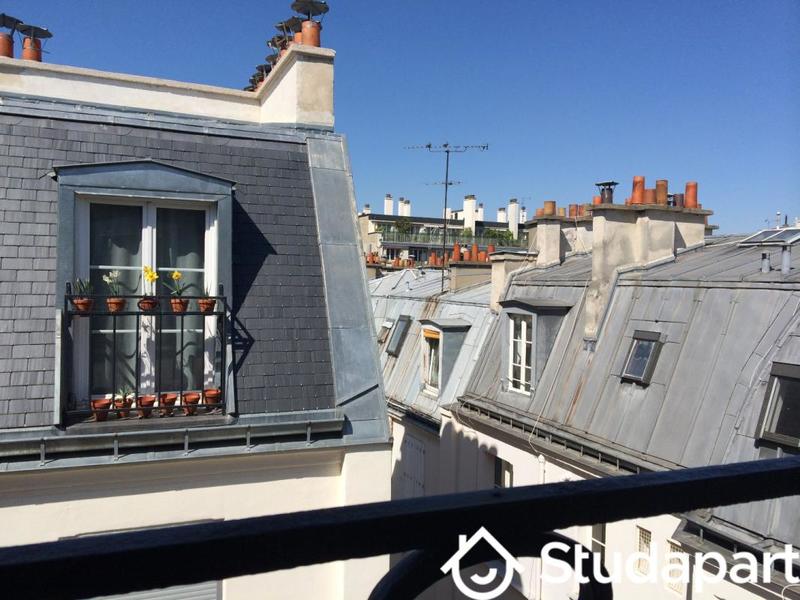 Appartement - 29 m² - 1 pièce