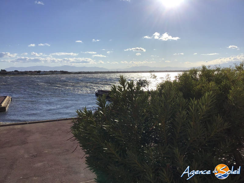 Appartement - 31 m² - 2 pièces