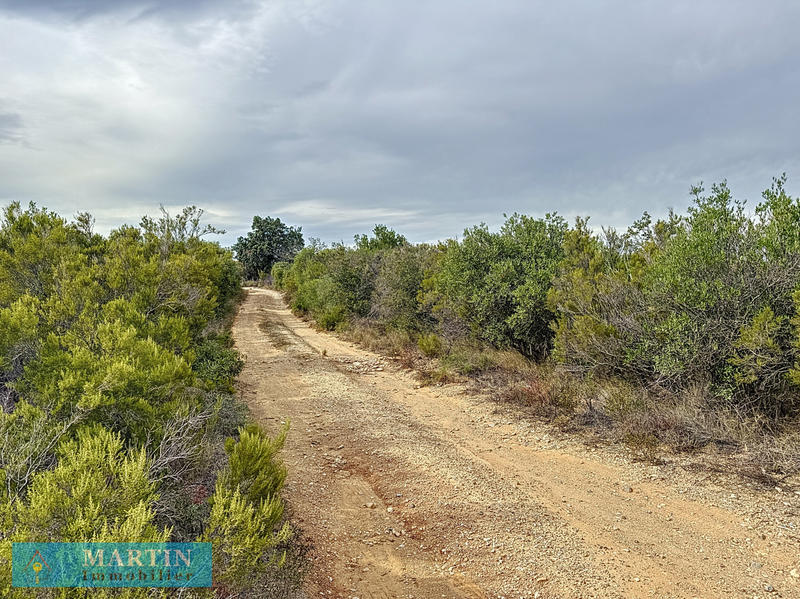 Terrain de loisirs - 24 490 m²