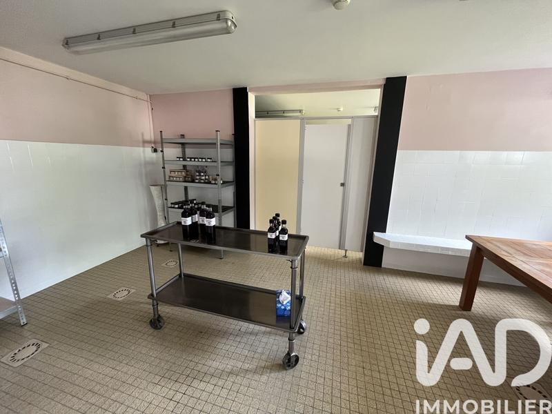 Maison - 550 m² - 15 pièces