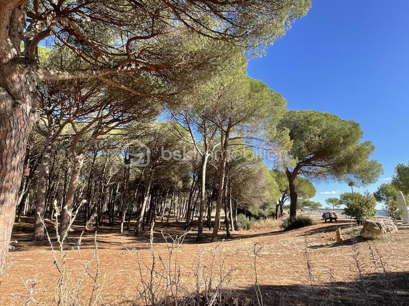 Appartement - 28 m² - 2 pièces