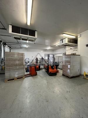 Entrepôt - 510 m²