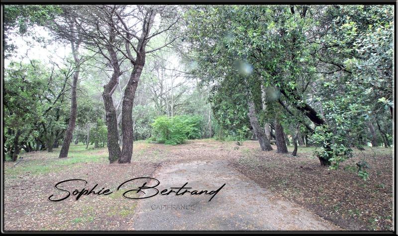 Maison - 236 m² - 9 pièces