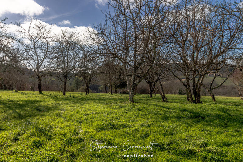 Grange - 210 m² - 3 pièces