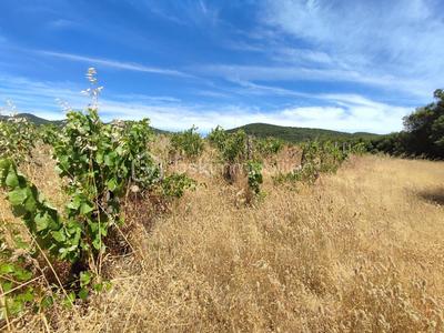 Terrain agricole - 54 432 m²