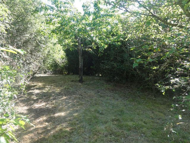 Maison - 88 m² - 5 pièces