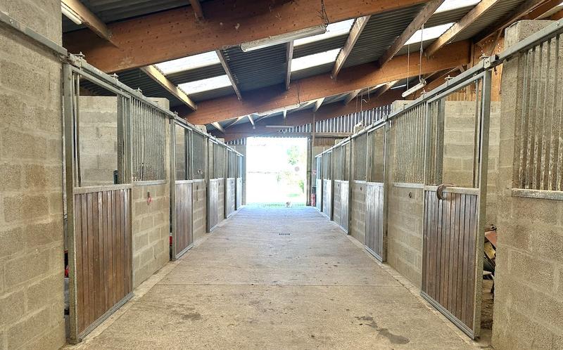 Haras - 230 m² - 8 pièces