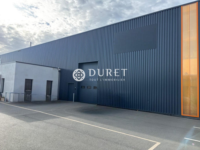 Local d'activités - 497 m²