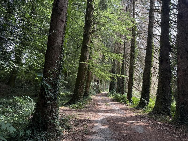 Demeure - 500 m² - 18 pièces