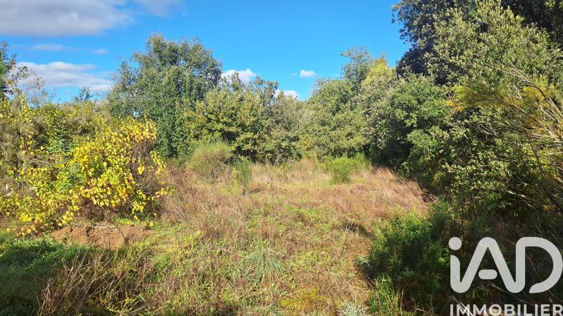 Terrain agricole - 5 345 m²