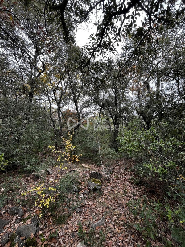 Terrain - 33 565 m²