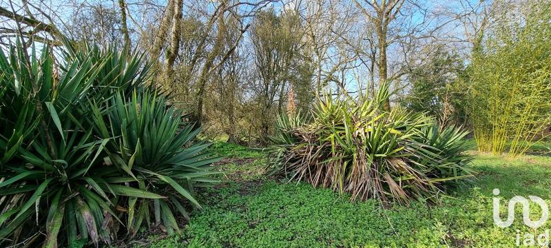 Maison de campagne - 226 m² - 7 pièces