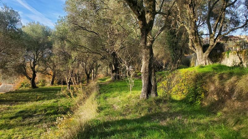 Terrain constructible - 2 800 m²