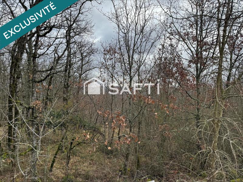 Terrain agricole - 4 860 m²