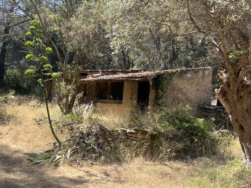 Maison - 230 m² - 7 pièces