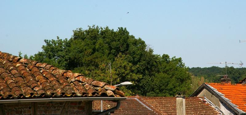 Immeuble - 226 m² - 8 pièces