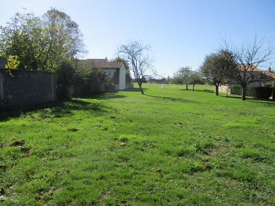 Terrain - 1 388 m²