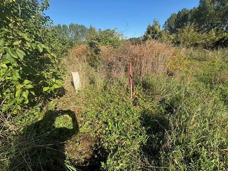 Terrain constructible - 5 500 m²