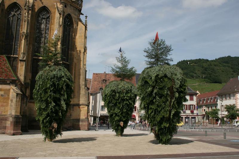 Crémation des trois sapins