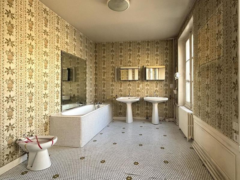 Hôtel particulier - 488 m² - 8 pièces