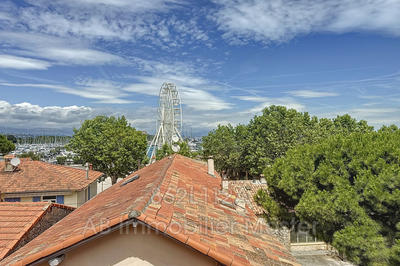 Appartement - 15 m² - 1 pièce