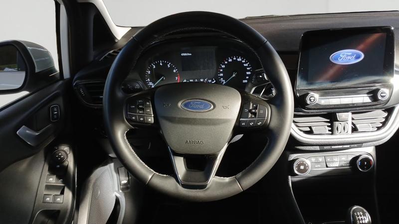 Ford Fiesta 1.0 Flexifuel 95 ch s&amp;S Bvm6 Titanium Business