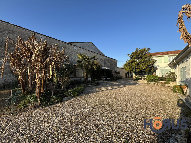 Viager - Maison - 197 m² - 5 pièces