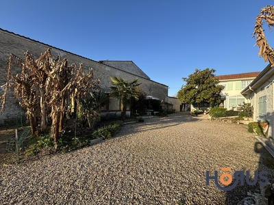 Viager - Maison - 197 m² - 5 pièces