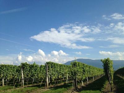 Appartement - 123 m² - 5 pièces