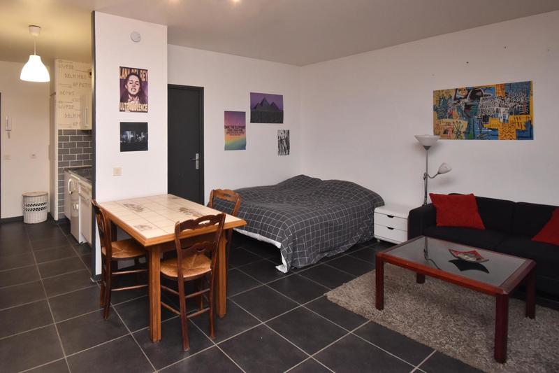 Appartement - 36 m² - 1 pièce