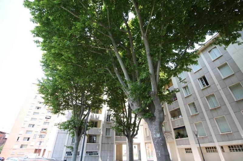 Appartement - 28 m² - 1 pièce