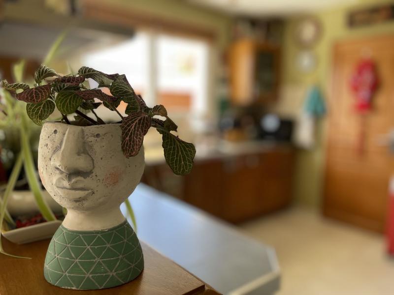 Maison - 112 m² - 7 pièces