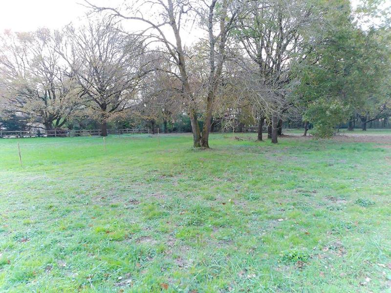 Terrain constructible - 850 m²