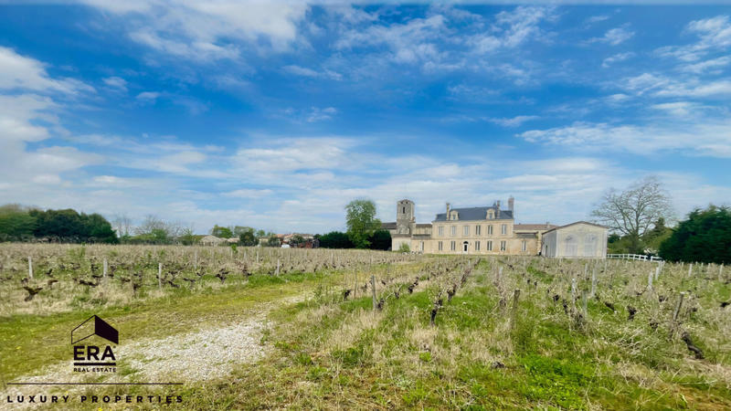 Château - 600 m² - 15 pièces