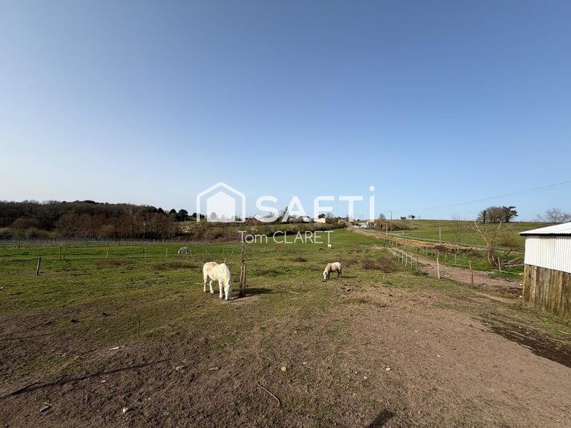 Maison - 132 m² - 4 pièces