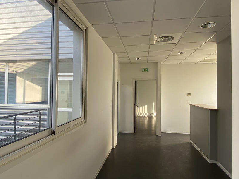 Bureau - 245 m²