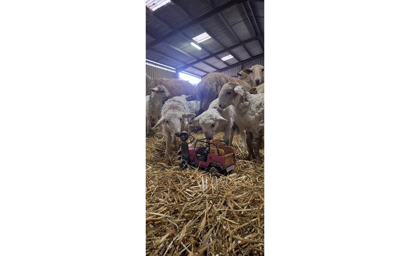 Randonnée gourmande en quadricycle électrique avec E-Pottok et découverte de la Ferme Ametzalde