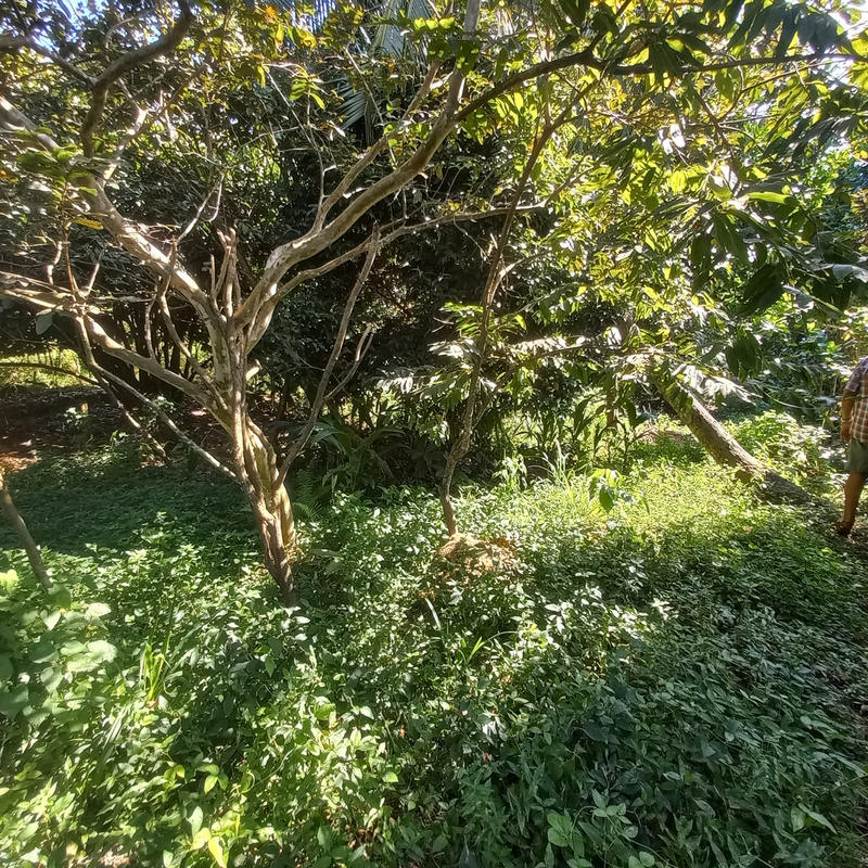 Maison - 103 m² - 4 pièces