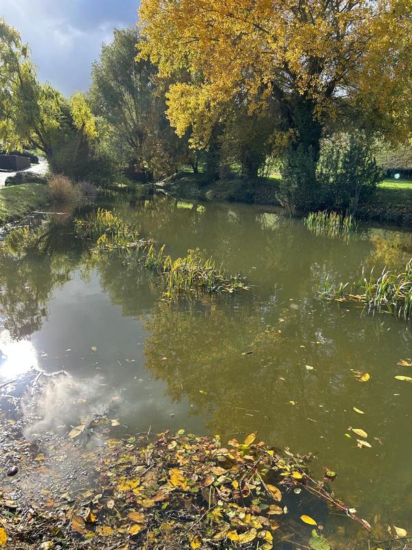 Maison - 320 m² - 10 pièces