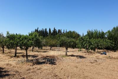 Terrain agricole - 3 130 m²