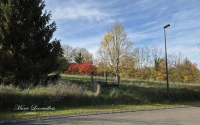 Terrain constructible - 2 905 m²